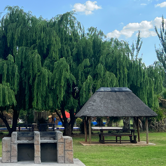 Best Picnic & Braai Spots Near Johannesburg for Families — Why Buksies Should Top Your List