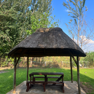 Picnic Spots in Johannesburg South You’ll Love — Why Buksies Resort Tops the List