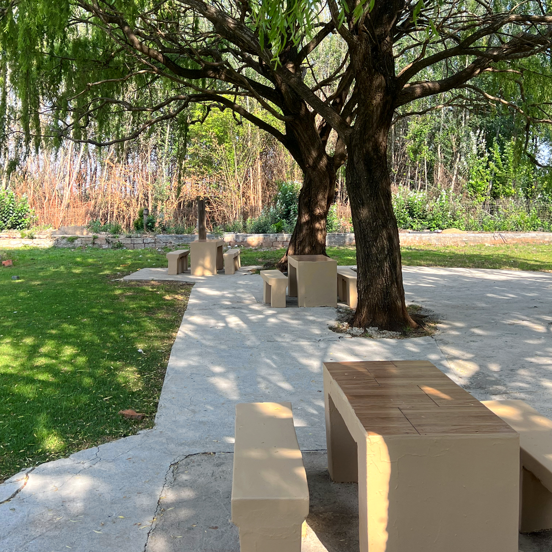 Johannesburg’s Hidden Picnic & Braai Paradise: Spend the Perfect Day at Buksies Resort
