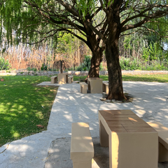 Johannesburg’s Hidden Picnic & Braai Paradise: Spend the Perfect Day at Buksies Resort