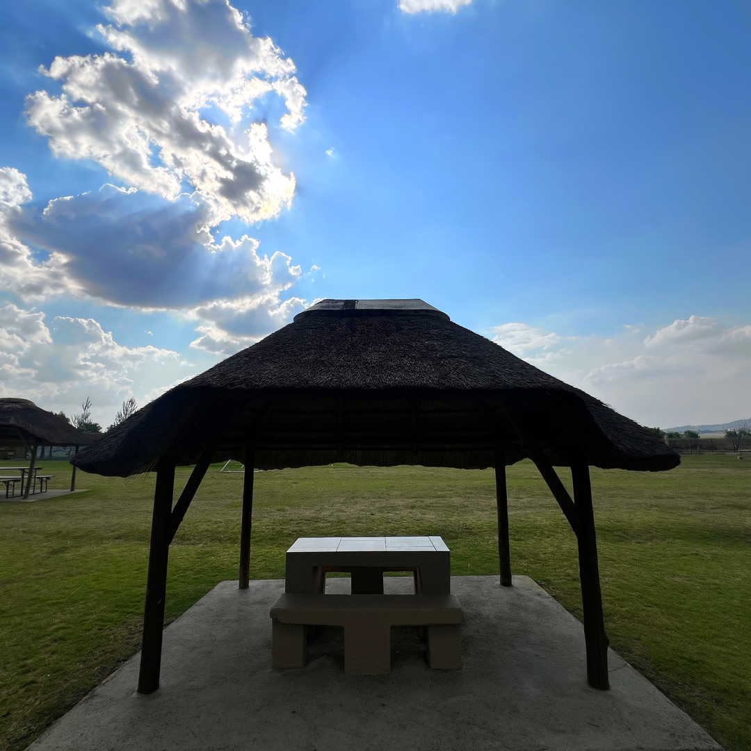 How to Plan the Perfect Family Picnic at Buksies Resort in Johannesburg South