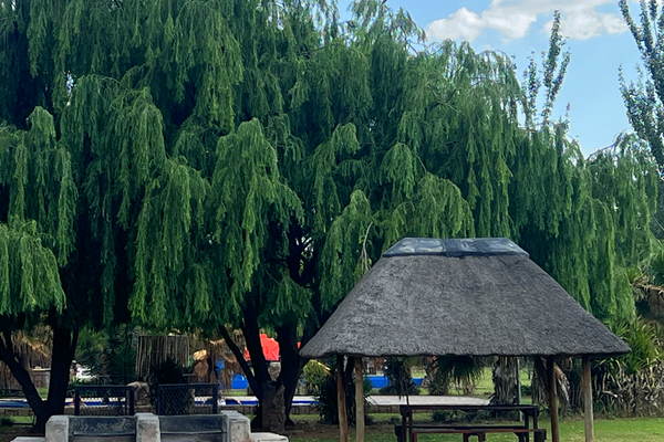 Best Picnic & Braai Spots Near Johannesburg for Families — Why Buksies Should Top Your List